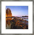 Tidepools Exposed At Low Tide Botanical Framed Print