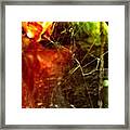 Tiny Spiderweb Wasn't Much More Than Framed Print