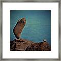 Tipping Point Framed Print