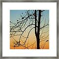 To The Morning Framed Print