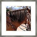 Tombstone Horse Framed Print