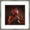 Too Much Wine Framed Print