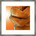 Topographical Nude In The Sun Framed Print