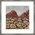 Treasures Of Copper Canyons Framed Print