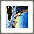 Tree And Fence Framed Print