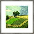 Tree And Field Framed Print