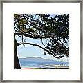 Tree And Volcano Framed Print