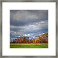 Tree Line On Sunset Hill In New Hampshire Framed Print