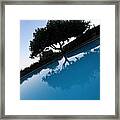 Tree Reflection Framed Print