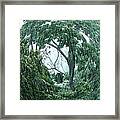 Tree Swirl Downpour Framed Print