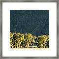 Treeline Framed Print