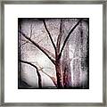 #trees #b/w #abstract #picoftheday  #art Framed Print