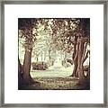 Trees In The Cemetery #cemetery #trees Framed Print