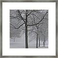 Trees In The Winter Framed Print