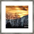 Trees With Orange Sky Framed Print