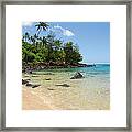 Tropical Paradise Framed Print