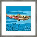 Trout Fish Retro Framed Print