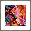 Parrot Tulip 01 Framed Print