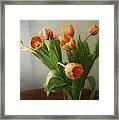 Tulips Framed Print