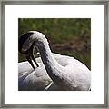 Turn Around Framed Print