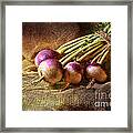 Turnips Framed Print
