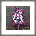 Turtle Of The Day Framed Print