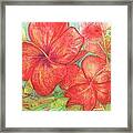 Two Hibiscus Blossoms Framed Print