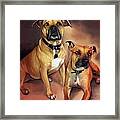 Two Pit Bull Terriers Framed Print
