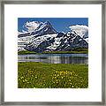 Up In The Bernese Alps Framed Print