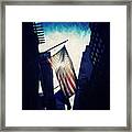 Us Flag Framed Print