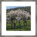 Valley Plum Thicket Framed Print