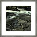 Veins Ii Framed Print