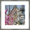 Vibrant Cathedral Framed Print