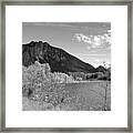 View From The River Framed Print