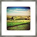 View Of The Field 🐎💛💚💙 Framed Print