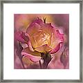 Vintage Miniature Rose No. 1 Framed Print