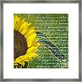 Vintage Sunflower Framed Print