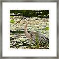 Wade In Framed Print