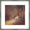 #waldenpond #iphoneonly #newengland Framed Print