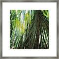 Walking Palm Tree Abstract Framed Print