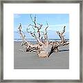 Washed Up Framed Print