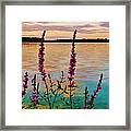 Water Colors Framed Print