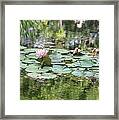 Water Lilies Brookgreen Gardens Framed Print