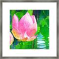 Water Lotus Framed Print