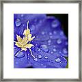 Water The Soul Framed Print