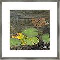 Waterlilies Framed Print