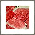 Watermelon Madness Framed Print