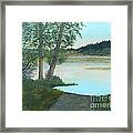 Water's Edge At Hummel Lake Framed Print