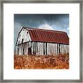 Weathering The Storm Framed Print