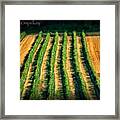 Well That's A Tough Row To Hoe..
Haha Framed Print